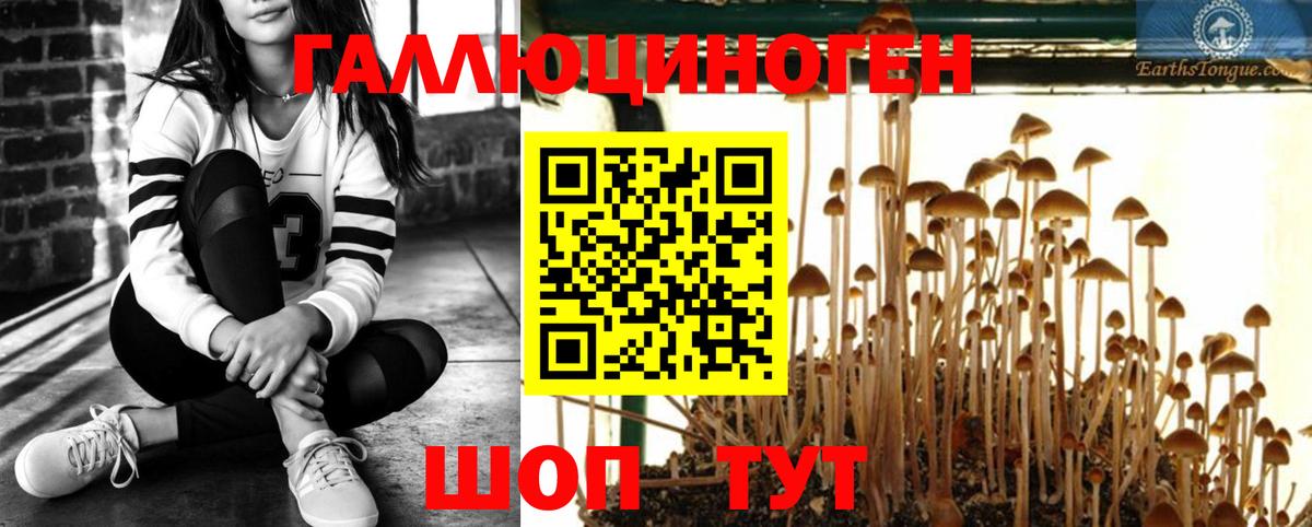 Псилоцибиновые грибы MAGIC MUSHROOMS  Вход с VPN  Шелехов  Псилоцибиновые грибы прущие грибы 